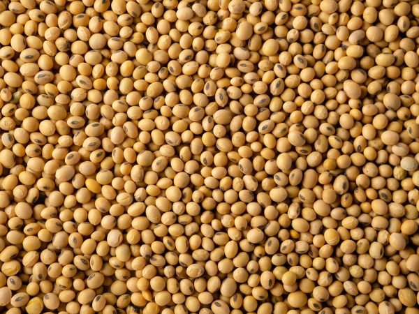 Supra 102 Soy Lecithin - Image 4